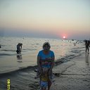  , , 69  -  5  2015    2015