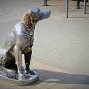 ���� �������, ������, 40 ��� - ��������� 1 ��� 2015 � ������ ��������