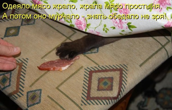       - 4  2015  04:04