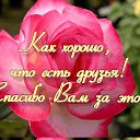 ���� ������� - �� ��������!, �������� - ��������� 31 ���� 2015 � ������ ������ ��������