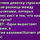 ���� �������, �������, 75 ��� - ��������� 13 ���� 2015 � ������ ������ ��������