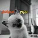  , -, 46  -  19  2015    