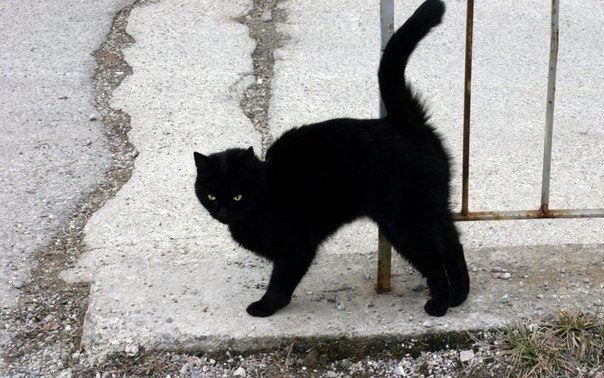 ׸ ,   , ,   - .     ...