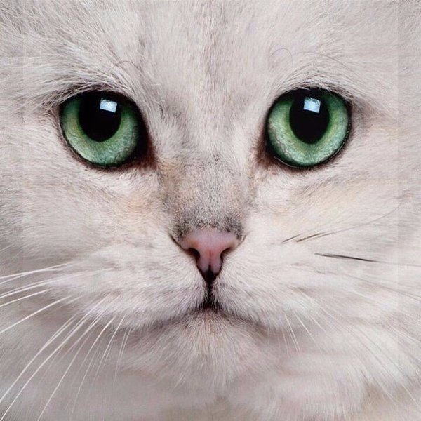       - 22  2015  05:02 - 2