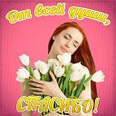 ���� ����, ������ - ��������� 12 ���� 2015 � ������ �������� ��������
