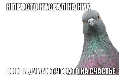    - 2  2015  22:17