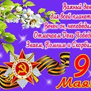 ���� Igor, �����-���������, 59 ��� - ��������� 8 ��� 2015 � ������ ������ ��������