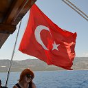 ���� ��������, ������, 41 ��� - ��������� 17 ���� 2015 � ������ ���� ����������