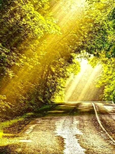 *    *.        ,  ...