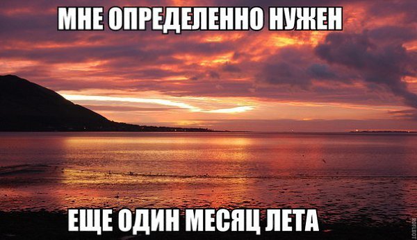 ☆   ☆ - 8  2015  08:11