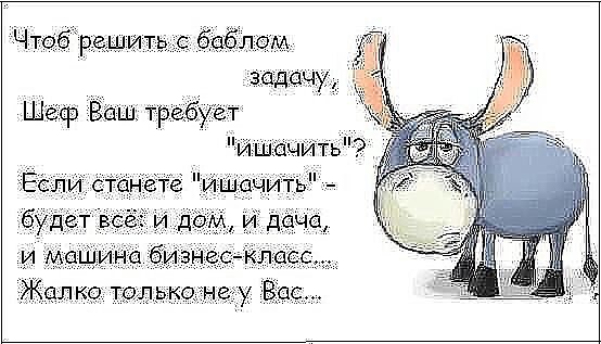 Lyubyov - 8  2015  20:34