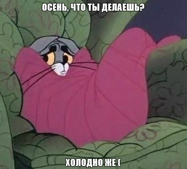    :D - 26  2015  18:20