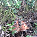 ���� ������, �����-���������, 70 ��� - ��������� 9 ������� 2015 � ������ ������ 2015�