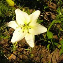 ���� �����, �������, 59 ��� - ��������� 9 ��� 2015