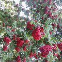 ���� ������� �, ��������, 59 ��� - ��������� 19 ������� 2015 � ������ ���� ����������