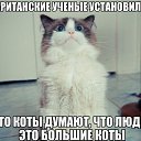 ���� Gala, ���� - ��������� 26 ��� 2015 � ������ ������ ��������