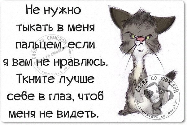  - 23  2015  19:48