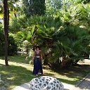  , , 73  -  24  2015    2015.