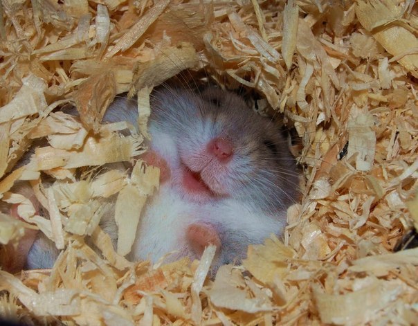  ! =)