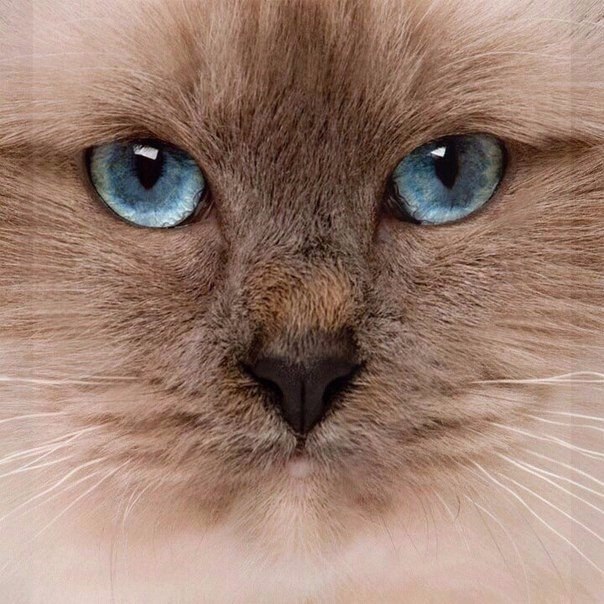       - 22  2015  05:02 - 3