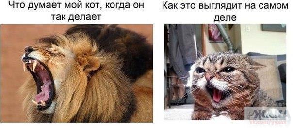     - 30  2015  13:20