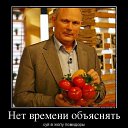 ���� ������, �����-���������, 41 ��� - ��������� 21 �������� 2015 � ������ ������ ��������