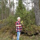  , , 70  -  5  2015   2015 