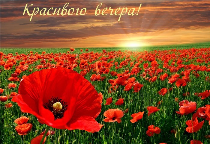 https://fotostrana.ru/away?to=/sl/Mx12