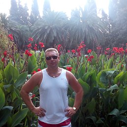 ���� �������, ������, 52 ���� - ��������� 28 ������� 2015