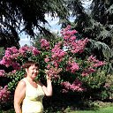 ���� ������, �������� - ��������� 21 �������� 2015 � ������ �����.���� ������