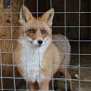  , --, 38  -  9  2015    