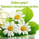 ���� ������ �), ������ - ��������� 13 ������� 2015