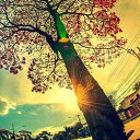 ���� ������, ������, 50 ��� - ��������� 3 ���� 2015 � ������ ������ ��������