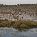 ���� �������, ����������, 45 ��� - ��������� 13 �������� 2015 � ������ ���� ����������