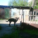 ���� ����������, ���� - ��������� 9 ���� 2015 � ������ ������ ��������