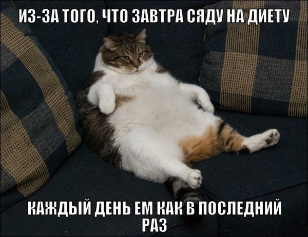       - 24  2015  17:02