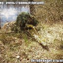 ���� ������, ������ ��������, 46 ��� - ��������� 22 �������� 2015 � ������ ���� ����������
