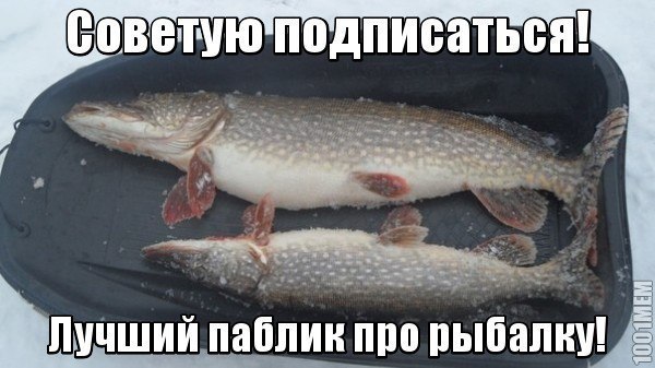   - http://vk.com/vk_fishing.   !