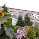 ���� ��������, ��������, 70 ��� - ��������� 4 ���� 2015 � ������ ������ ����