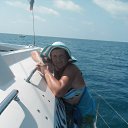 ���� ������, ������� ����, 71 ��� - ��������� 18 ��� 2015 � ������ ���� ����������