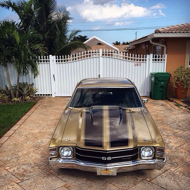 Chevelle SS - 2