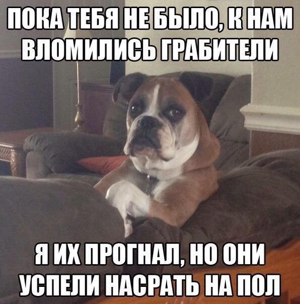   - 10  2015  19:31