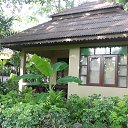    -  ,  -  23  2015    2014.  Peace.  11-.