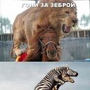 ���� �����, �����, 48 ��� - ��������� 23 ������� 2015 � ������ �14�