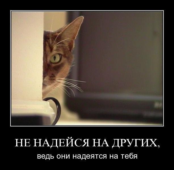 Interesting Stuff... - 29  2015  13:50