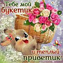 ���� �����, ������ �������� - ��������� 3 �������� 2015 � ������ �������� ��������