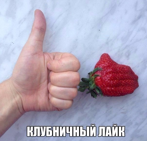   - 5  2015  19:49