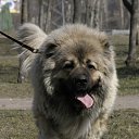  Irishka))),  -  15  2015     ))))
