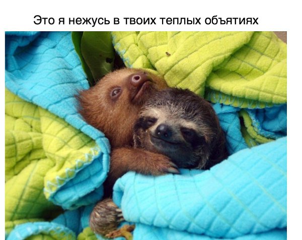  ,    . - 8