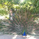 ���� Susanna, ������, 67 ��� - ��������� 28 ��� 2015 � ������ �Mobiln@i albom�